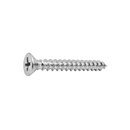 TORNILLO AUTORROSCANTE C/PLANA- DIAMETRO 6 A 12 - INOXIDABLE 304